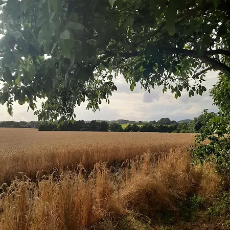 別荘 Mv Idyll Dahmen