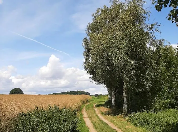 بيت للعطل Mv Idyll *