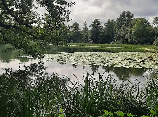 بيت للعطل Mv Idyll *