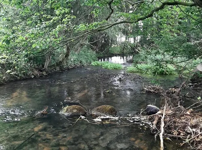 Mv Idyll * Dahmen (Mecklenburg-Vorpommern)